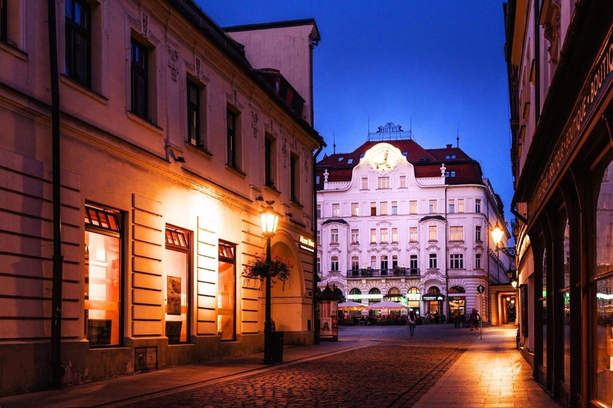 Deer Apartment Cieszyn (Silesia)